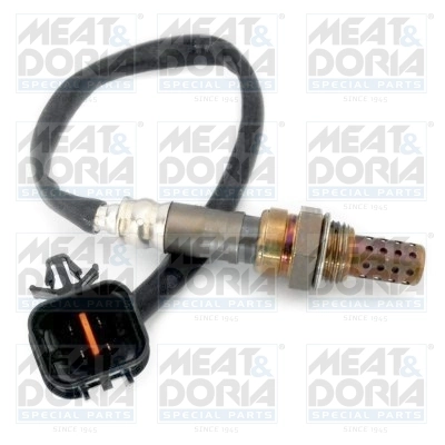 Oxygen Sensor